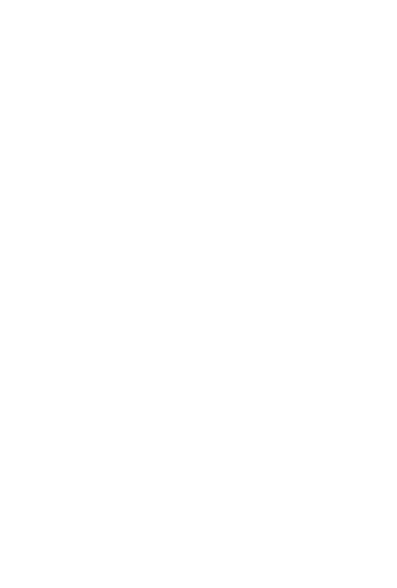 Flag 1