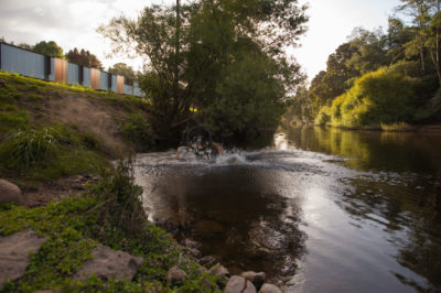 Dalesofderby refreshing dip