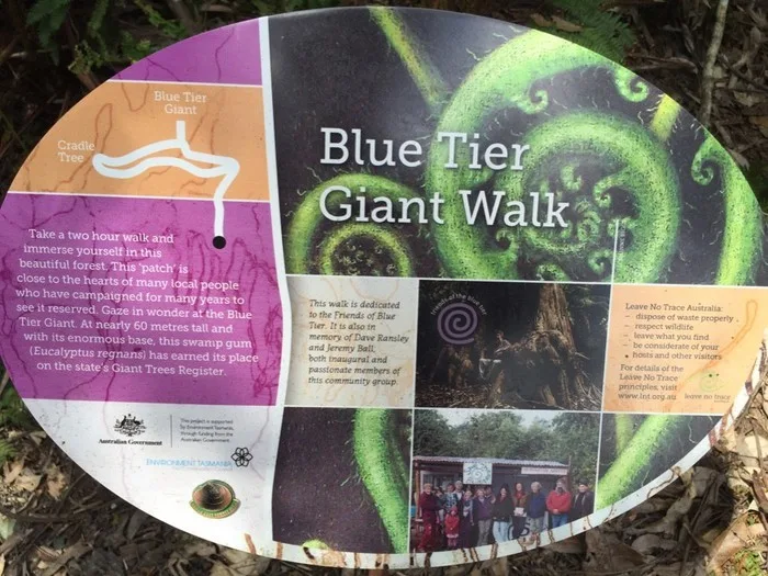 Blue tier giant walk