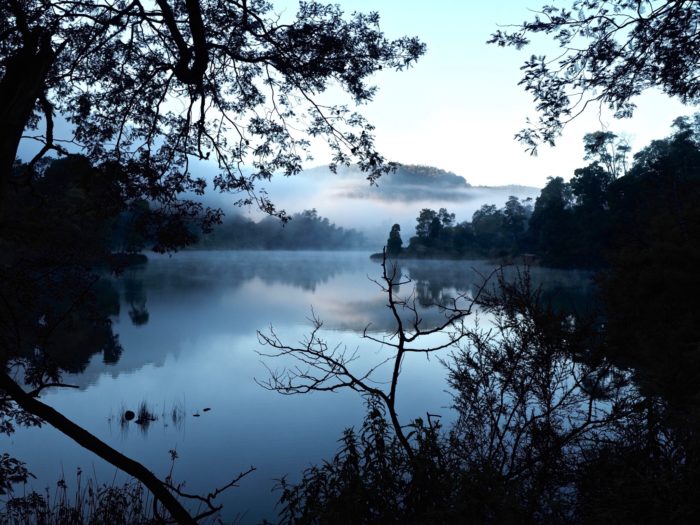 Briseis at dawn, Di Northey