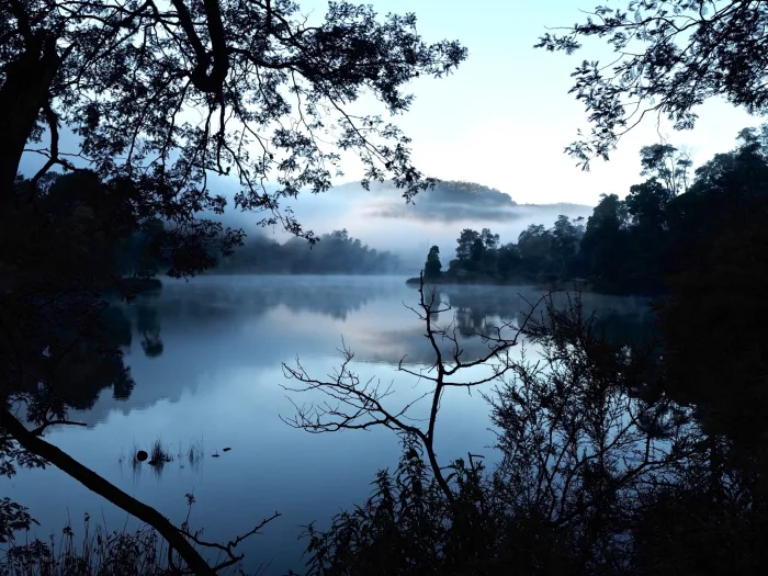 Briseis at dawn, Di Northey